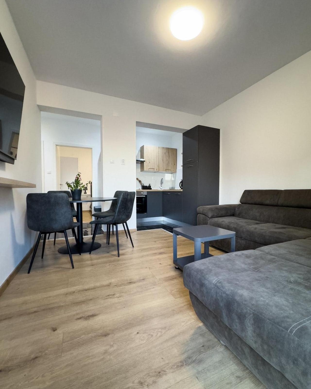 Apartman Adria 茨里克韦尼察 外观 照片